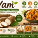 Yam